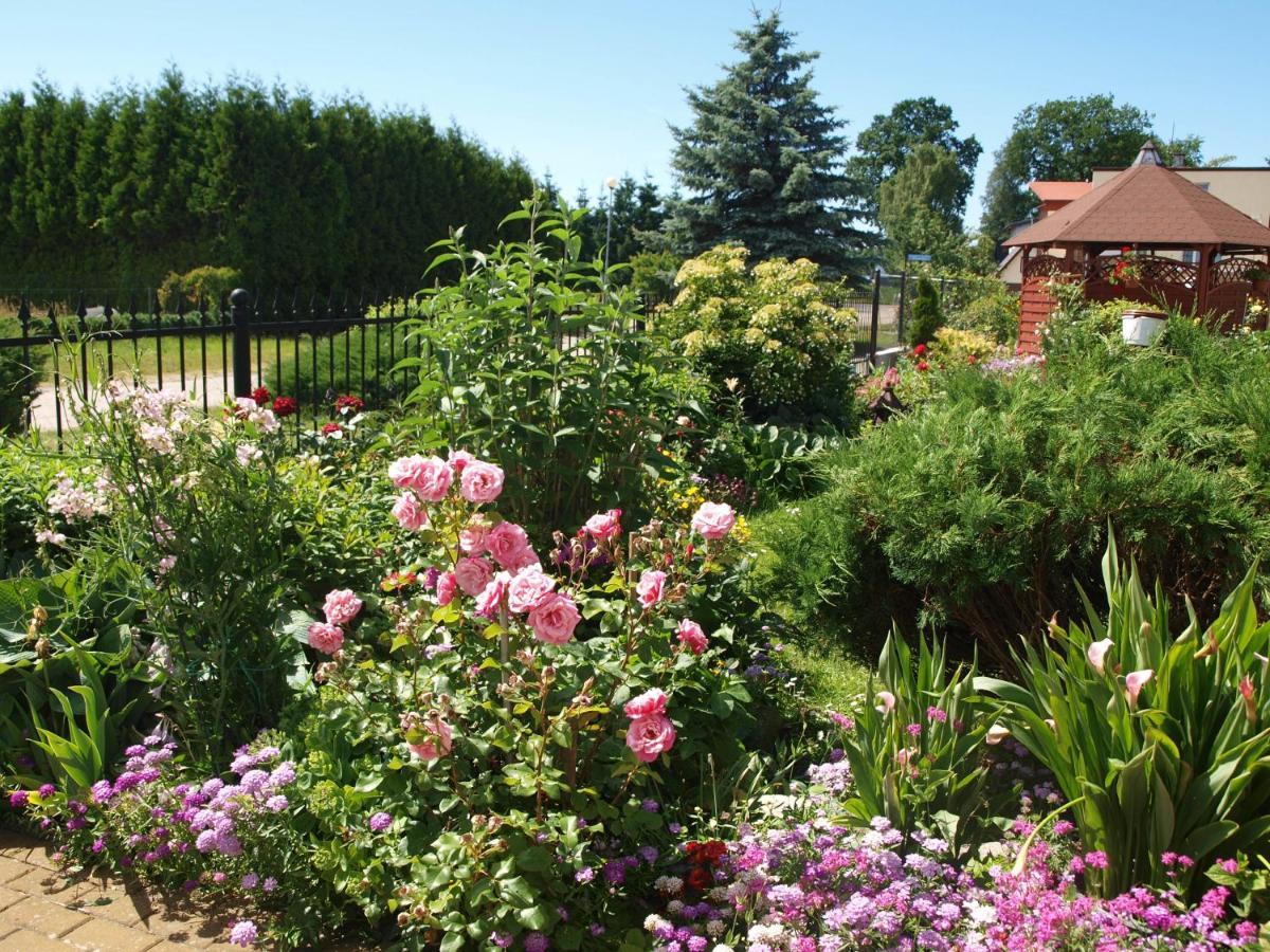 Bed and Breakfast Bajka Домбки Экстерьер фото
