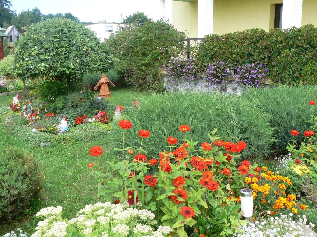 Bed and Breakfast Bajka Домбки Экстерьер фото